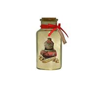 Wizarding World Charms Poudlard Express Pot Lumineux LED 16,5 cm