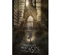 Wizarding World Fantastic Beasts (Teaser) 61 x 91.5 cm Maxi Poster
