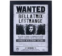 Wizarding World FP10612P-PL Affiche Encadrée, Multicolore, 30 x 40 cm