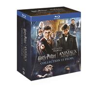 Wizarding World : Harry Potter 1 à 7, Les Animaux fantastiques 1 à 3 Blu-ray
