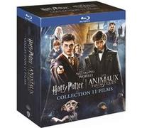 Wizarding World : Harry Potter 1 à 7, Les Animaux fantastiques 1 à 3 Blu-ray E