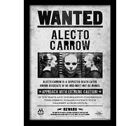 Wizarding World Harry Potter (Alecto Wanted) 30 x 40 cm Objet Souvenir