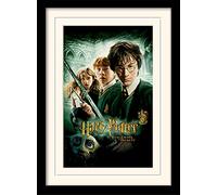 Wizarding World Harry Potter (Chamber of Secrets) 30 x 40 cm Objet Souvenir