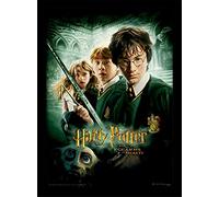 Wizarding World Harry Potter (Chamber of Secrets) 30 x 40 cm Objet Souvenir