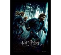 Wizarding World Harry Potter (Deathly Hallows Part 1) 30 x 40 cm Objet Souvenir