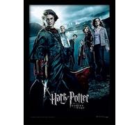 Wizarding World Harry Potter (Goblet of Fire) 30 x 40 cm Objet Souvenir
