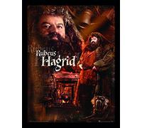 Wizarding World Harry Potter (Hagrid) 30 x 40 cm Objet Souvenir