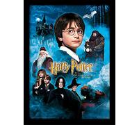 Wizarding World Harry Potter (Philosophers Stone) 30 x 40 cm Objet Souvenir