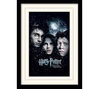 Wizarding World Harry Potter (Prisoner of Azkaban) 30 x 40 cm Objet Souvenir
