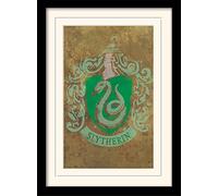Wizarding World Harry Potter (Slytherin Crest) 30 x 40 cm Objet Souvenir