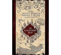 Wizarding World Harry Potter (The Marauders Map) 61 x 91.5 cm Maxi Poster