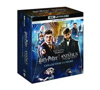 Warner Bros. Pictures Wizarding World : Harry Potter 1 à 8, Les Animaux fantastiques 1 à 3 - Blu-ray