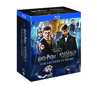 Wizarding World : Intégrale Harry Potter + Les Animaux Fantastiques : 11 Films [Blu-ray]