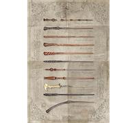 Wizarding World Affiche Harry Potter - La baguette choisit le magicien - Multicolore - 61 x 91,5 cm