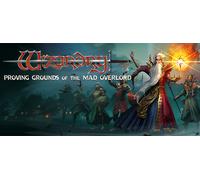 Wizardry: Proving Grounds of the Mad Overlord (Steam Account)