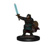 WizKids Miniature premium D&D Icons of The Realms – Paladine naine prépeinte – Carton de 6