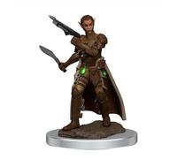 WizKids D&D Icons of The Realms Miniature Premium prépeinte Female Shifter Rogue (Carton de 6)