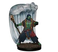 WizKids D&D Minis : Icons of The Realms Figurines Premium : Wave 6 : Water Genasi Druid Male - Miniature pré-Peinte Donjons et Dragons Compatible avec DND Autres Jeux de RPG de Table TTRPG,