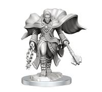 WizKids D&D Nolzur's Marvelous Miniatures : Aasimar Clerc Mâle