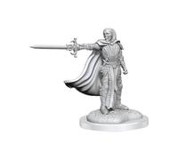 Wizkids D&D Nolzurs Figurines chevaliers de la mort