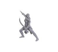 WizKids D&D Nolzur's Marvelous Miniatures – édition spéciale Baldur's Gate 3 (Jaheira & Halsin)