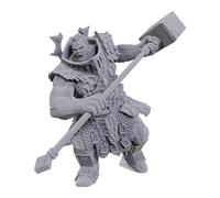 WizKids Dungeons & Dragons Nolzur's Marvelous Miniatures : Firegaunt
