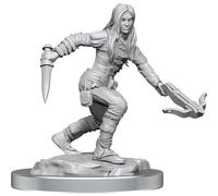 D&D Nolzur's Merveilleuses Miniatures : Demi-elfe Rogue Femelle
