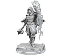 WizKids D&D Nolzur's Marvelous Miniatures : Demi-elfe Warlock Unpainted Dungeons and Dragons Miniatures