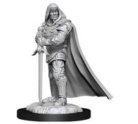 WizKids D&D Nolzur's Marvelous Miniatures - Human Paladin Male (6 Units)