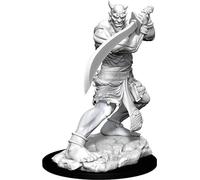WizKids Dungeons & Dragons 48848 Jeu de Cartes