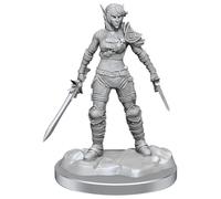 WizKids Les merveilleuses figurines de D&D Nolzur : Rogue elfe et demi-elfe Rogue Protégé