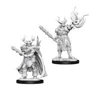 WizKids Pathfinder Battles Deep Cuts - Druid Masculin Half-Orc (6 Units)