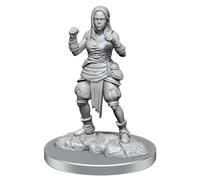 WizKids Pathfinder Deep Cuts: Miniatures Demi-Elfe Moine Pathfinder Femelle