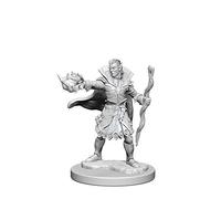 Wizkids Pathfinder Deep Cuts Unpainted Miniatures Elf Male Sorcerer