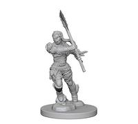 Wizkids Pathfinder Deep Cuts Unpainted Miniatures Half-Orc Female Barbarian