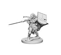 Wizkids Pathfinder Deep Cuts Unpainted Miniatures Human Female Paladin By