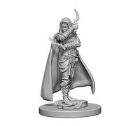 Wizkids Pathfinder Deep Cuts Unpainted Miniatures Human Female Rogue