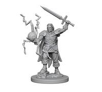 Wizkids Pathfinder Deep Cuts Unpainted Miniatures Human Male Cleric