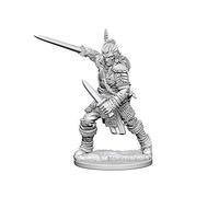 Wizkids Pathfinder Deep Cuts Unpainted Miniatures Human Male Fighter