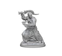 Wizkids Pathfinder Deep Cuts Unpainted Miniatures Human Male Monk