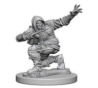 Wizkids Pathfinder Deep Cuts Unpainted Miniatures Human Male Rogue