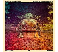 Wizzerd - Turned to Stone Chapter III