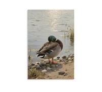 WJHJZQYY Décoration murale moderne à suspendre représentant un canard se reposant sur le rivage, tête cachée sous son aile, 20 x 30 cm