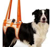 WJJKJH Fauteuil Roulant Chien, Dog Lift Harness - Adjustable Dog Sling for Medium Large Dogs, Hind Leg Support to Help Rehabilitate, Dog Support Harness for Elderly, Injured(Large)