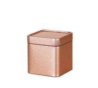 WJLYDM 1 mini boîte de rangement en fer blanc, à thé scellée, petit pot café carré, conteneur feuilles, boîtes épices(Gold)