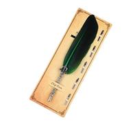 WJLYDM Plume d'oie trempette eau rétro planche débutant calligraphie décorative pointe de remplacement carton(Color10)