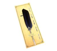 WJLYDM Plume d'oie trempette eau rétro planche débutant calligraphie décorative pointe de remplacement carton(Color07)