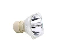 WJREGG Ampoule de projecteur NP29LP/100013542 for N-EC M362W M362X M363W M363X NP-M362W NP-M362WG NP-M362WJD