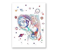 WJWGP Grossesse UtéRus Aquarelle Toile Tableau Peinture GynéCologie Murale Tableaux Anatomie Affiches Sage-Femme BéBé MéDecin Bureau Decoration Murale Cadeau 40x60 Cm sans Cadre