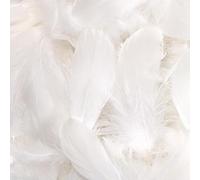 WJWINER 400 Pcs Plume, Plume Décoration, Plume pour Loisirs Créatifs,Colorées Frappantes pour Loisirs Créatifs, pour DIY Bricolage Décoration Pâques Noël Figure Décorative(Blanc)